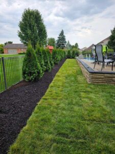 sod and shrubs with mulch photo 2