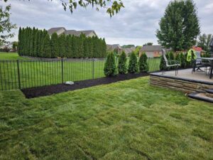 sod and shrubs with mulch photo
